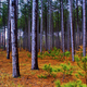 Image for article titled Shooting Challenge: HDR Gallery Part 3